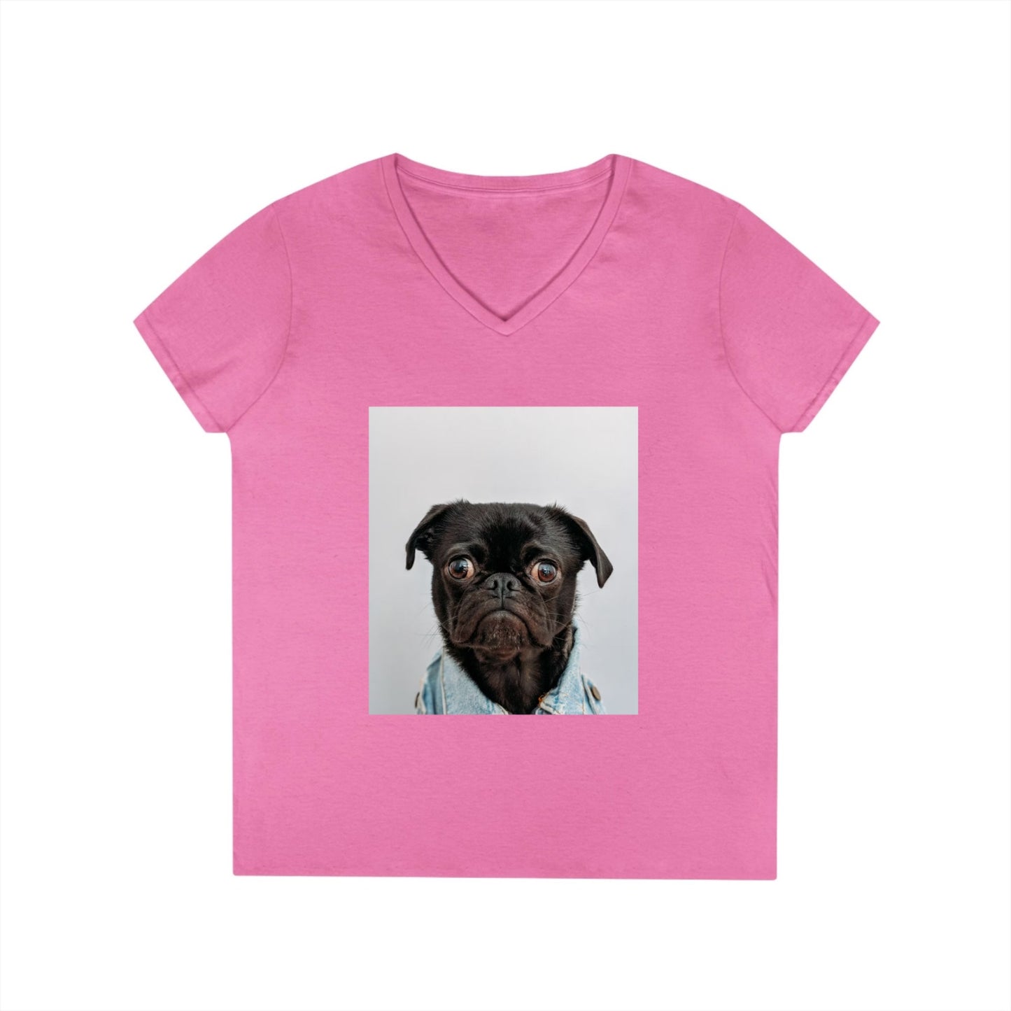 Ladies' V-Neck T-Shirt