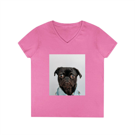 Ladies' V-Neck T-Shirt